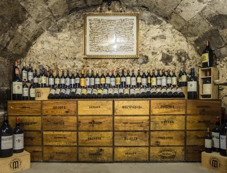 Cellar Organisation